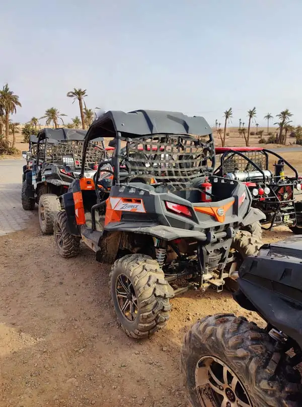 Buggy Palmeraie