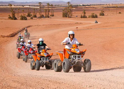 Quad Palmeraie